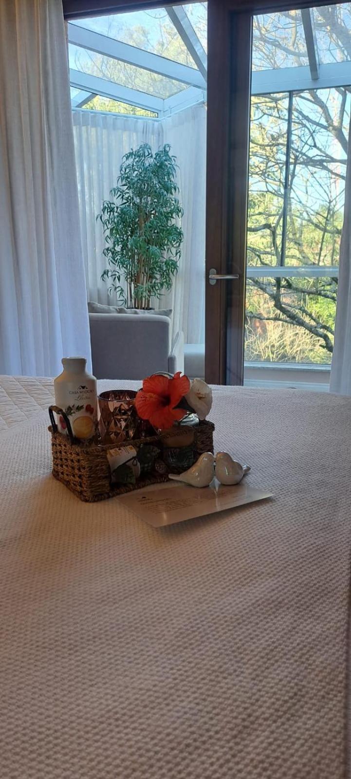 Suite Mountain View