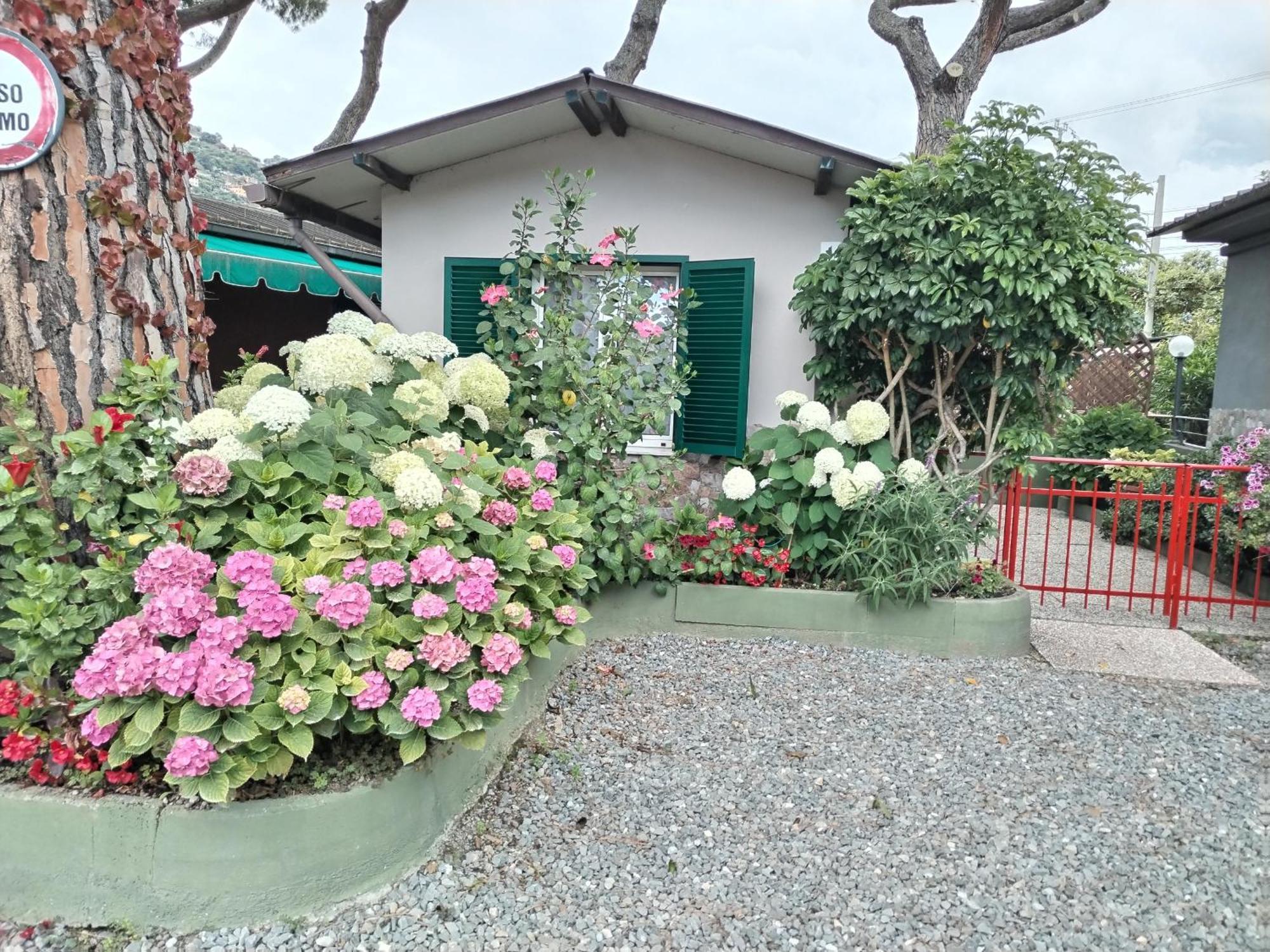 Bungalow