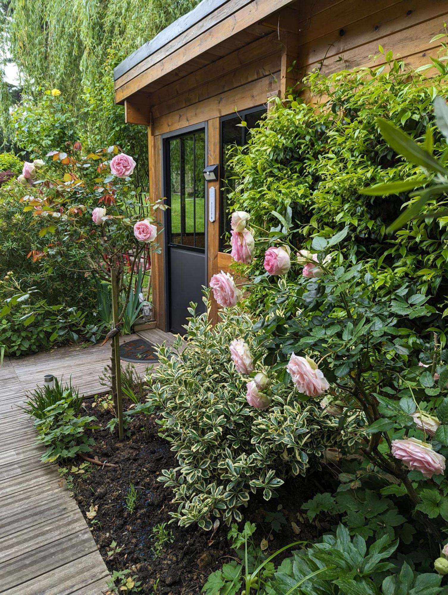One-Bedroom Chalet