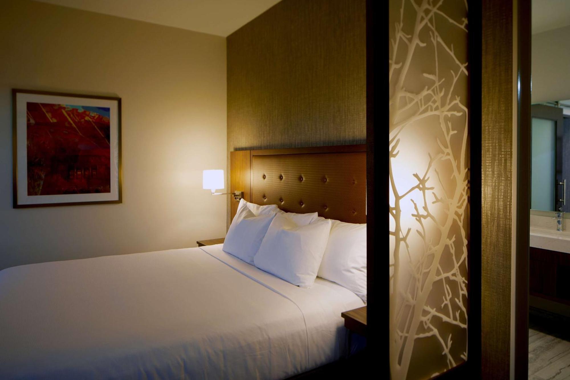 King Suite with Accessible Shower - Disability Access