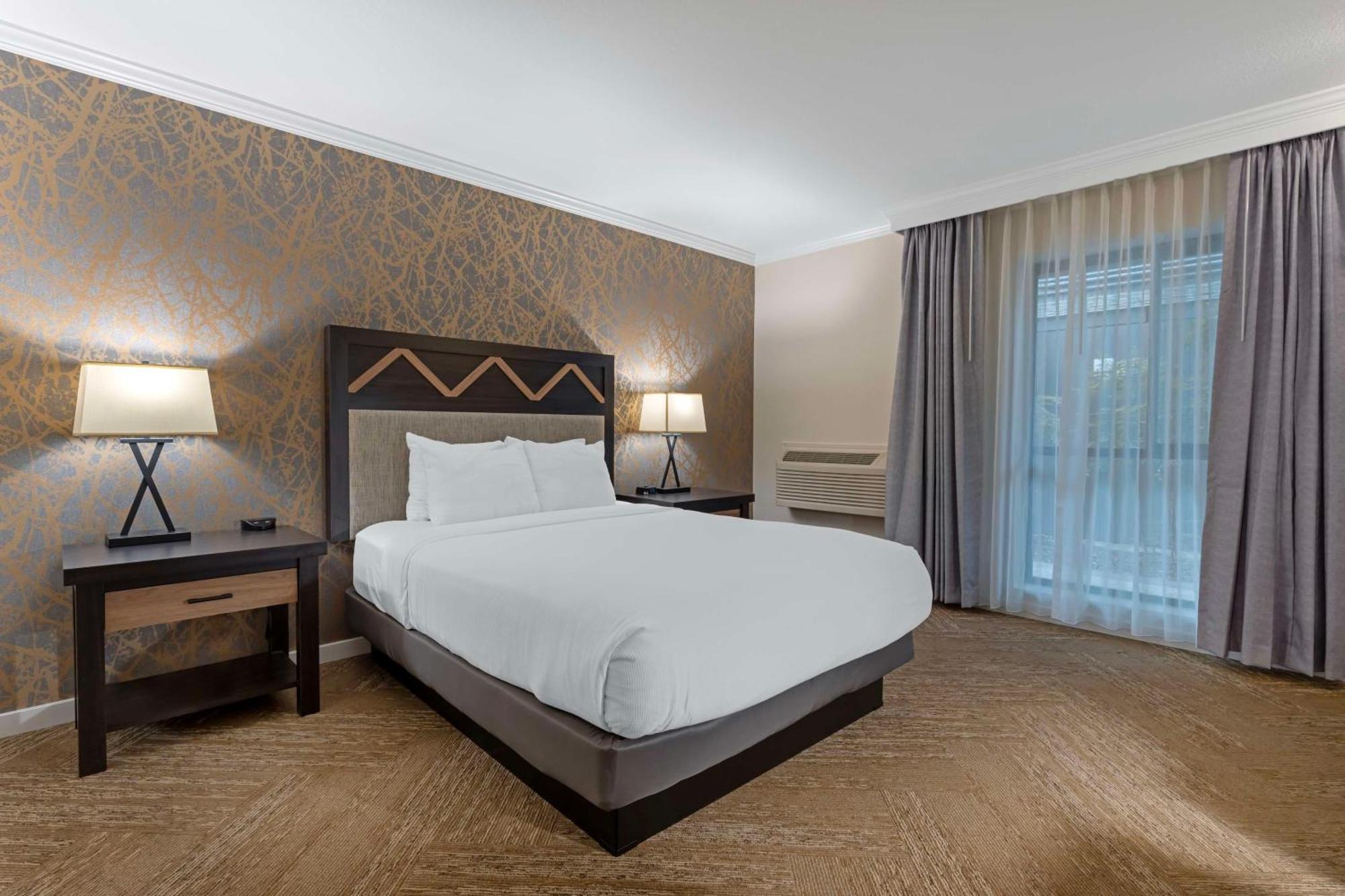 Queen Room with Roll-In Shower - Mobility Accessible/Non-Smoking