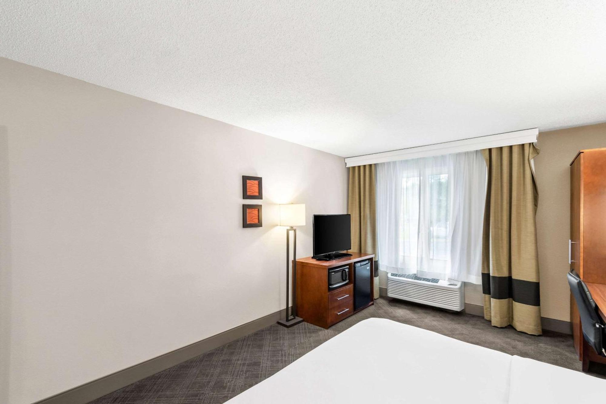 King Room Accessible or Non-Smoking