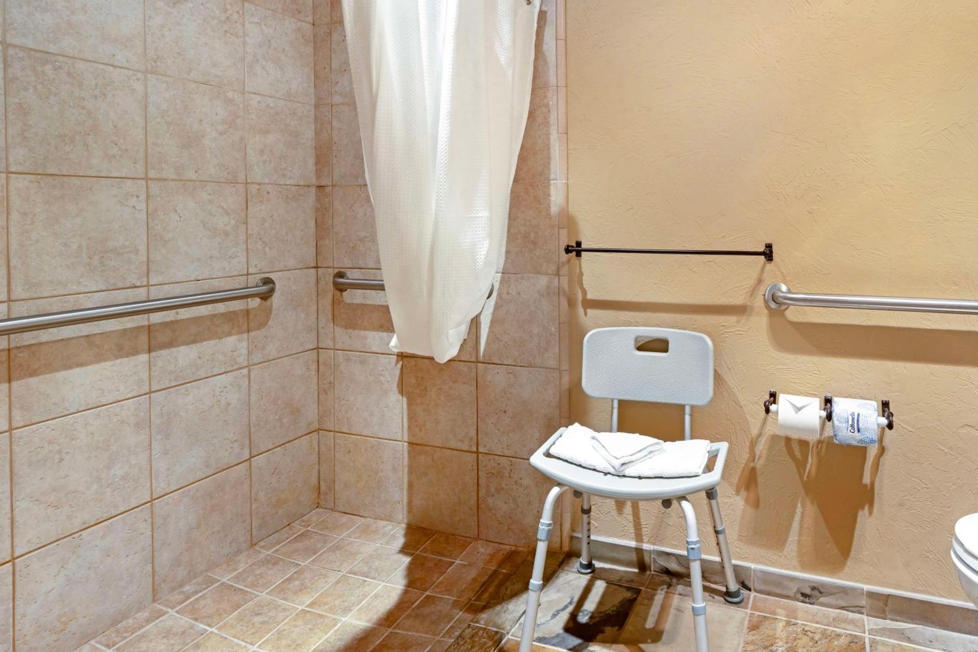 King Suite Roll Shower Sofa Bed Disability Access or Non-Smoking