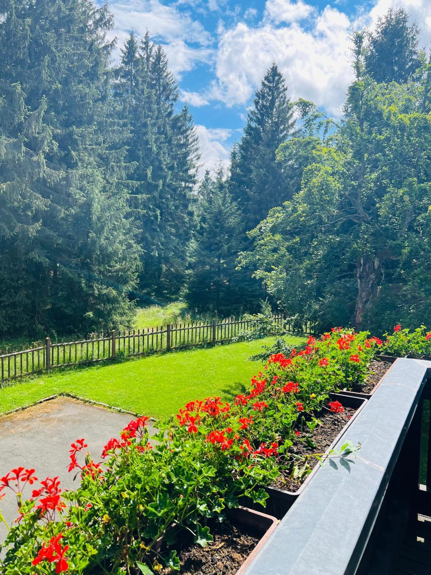 Double Room Balcony