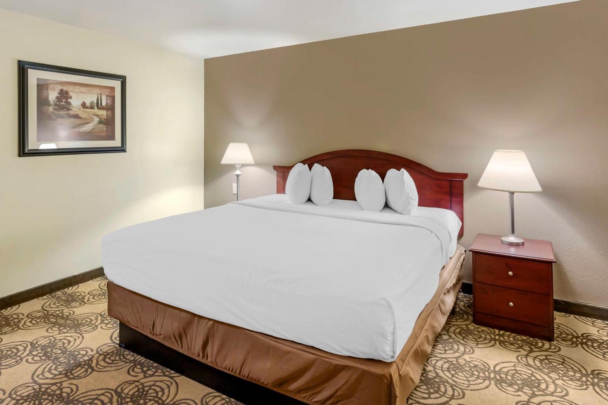 One-Bedroom King Suite One Queen Bed Sofa Bed Kitchen or Non-Smoking