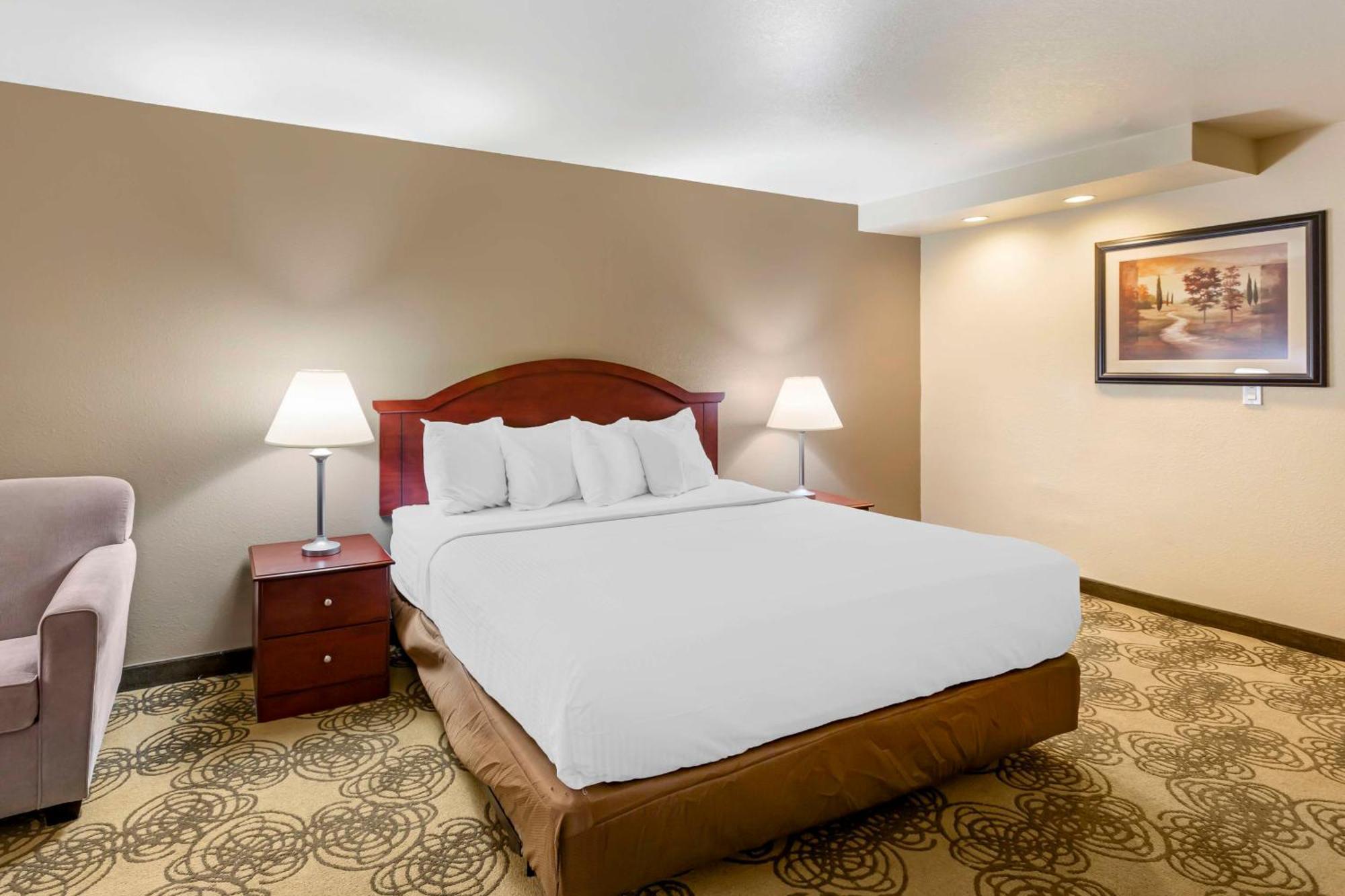 One-Bedroom King Suite One Queen Bed Sofa Bed Kitchen or Non-Smoking