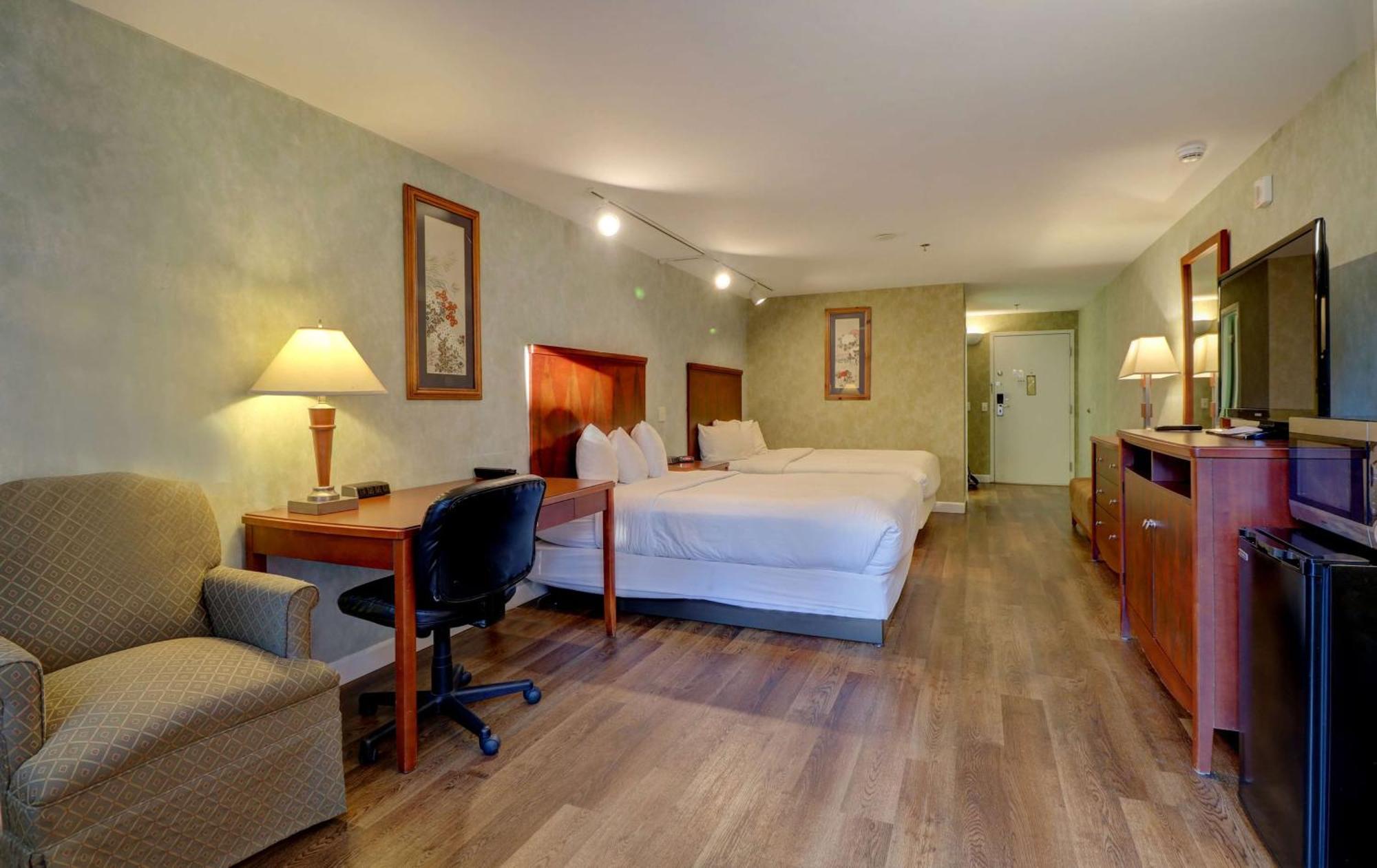 Premium Two Queen | Pet-Friendly