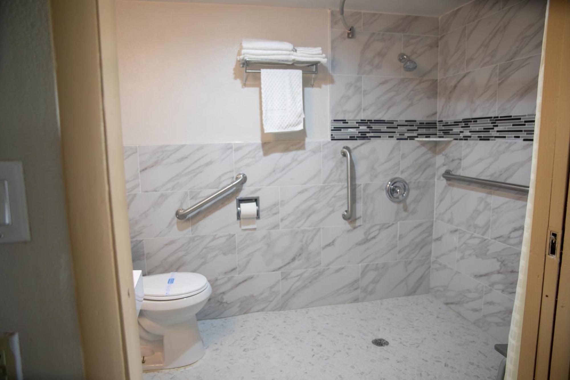 Accessible 1 King Roll Shower