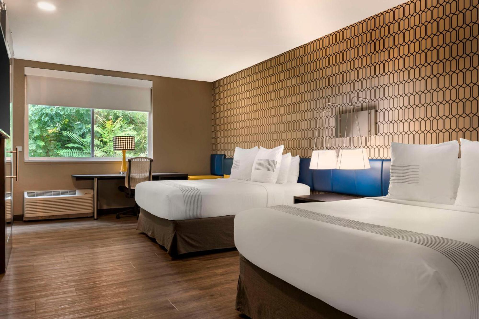 Queen Room Two Queen Beds Disability Access