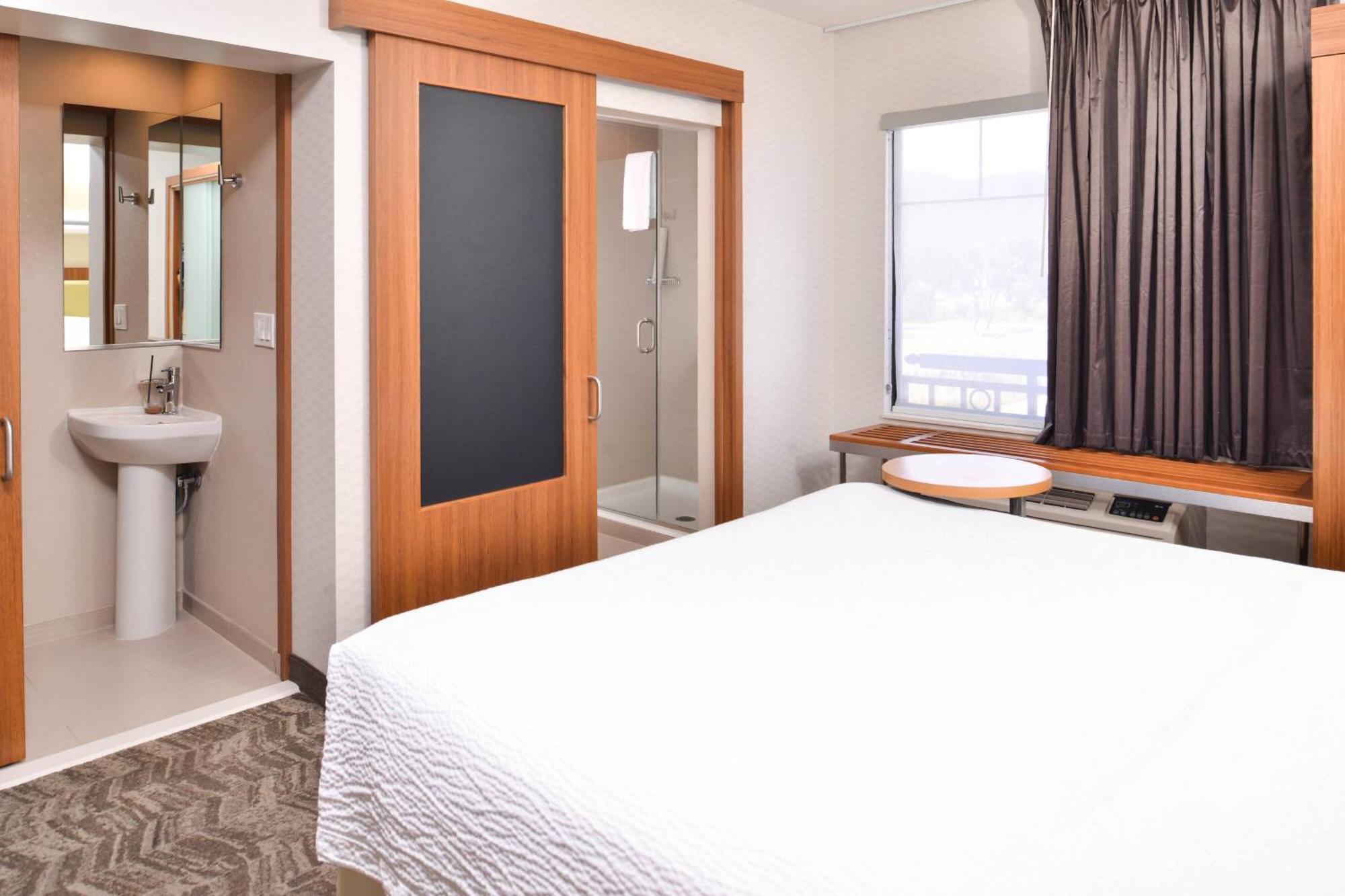 King Suite Transfer Shower Trundle Sofa Mobility Access or Hearing Accessible,1606052767:JPEG