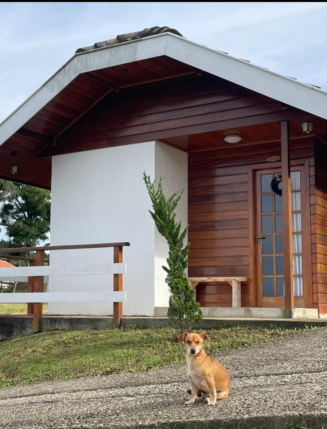 One-Bedroom Chalet