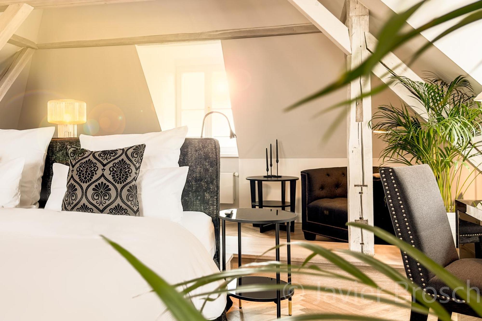Estudio Suite