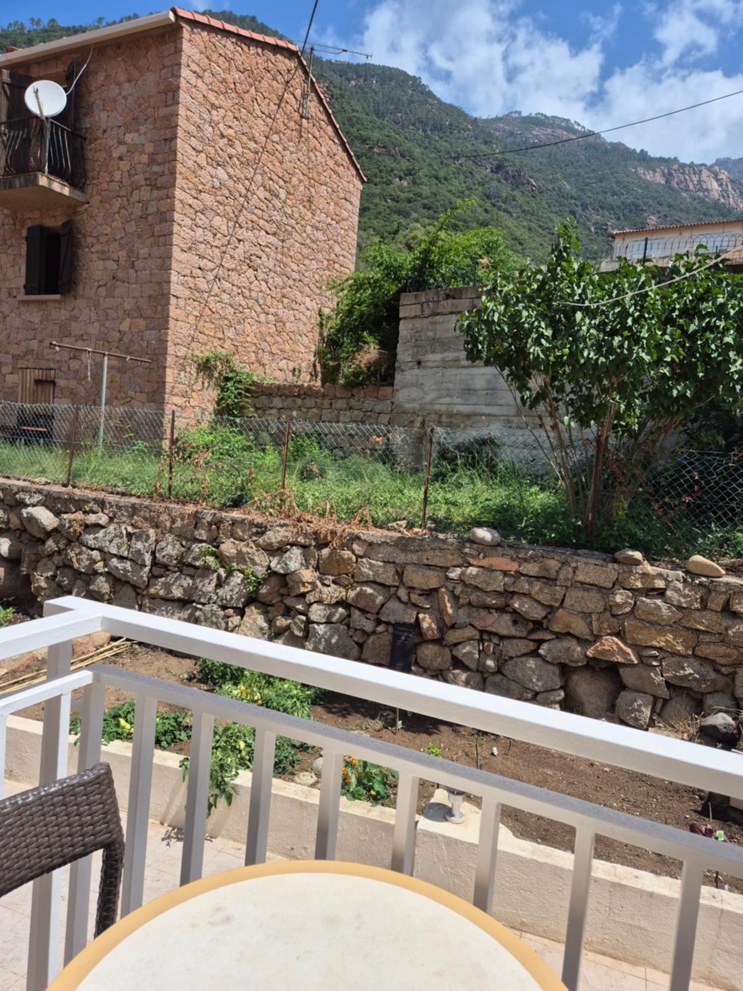 Duplex Apartment