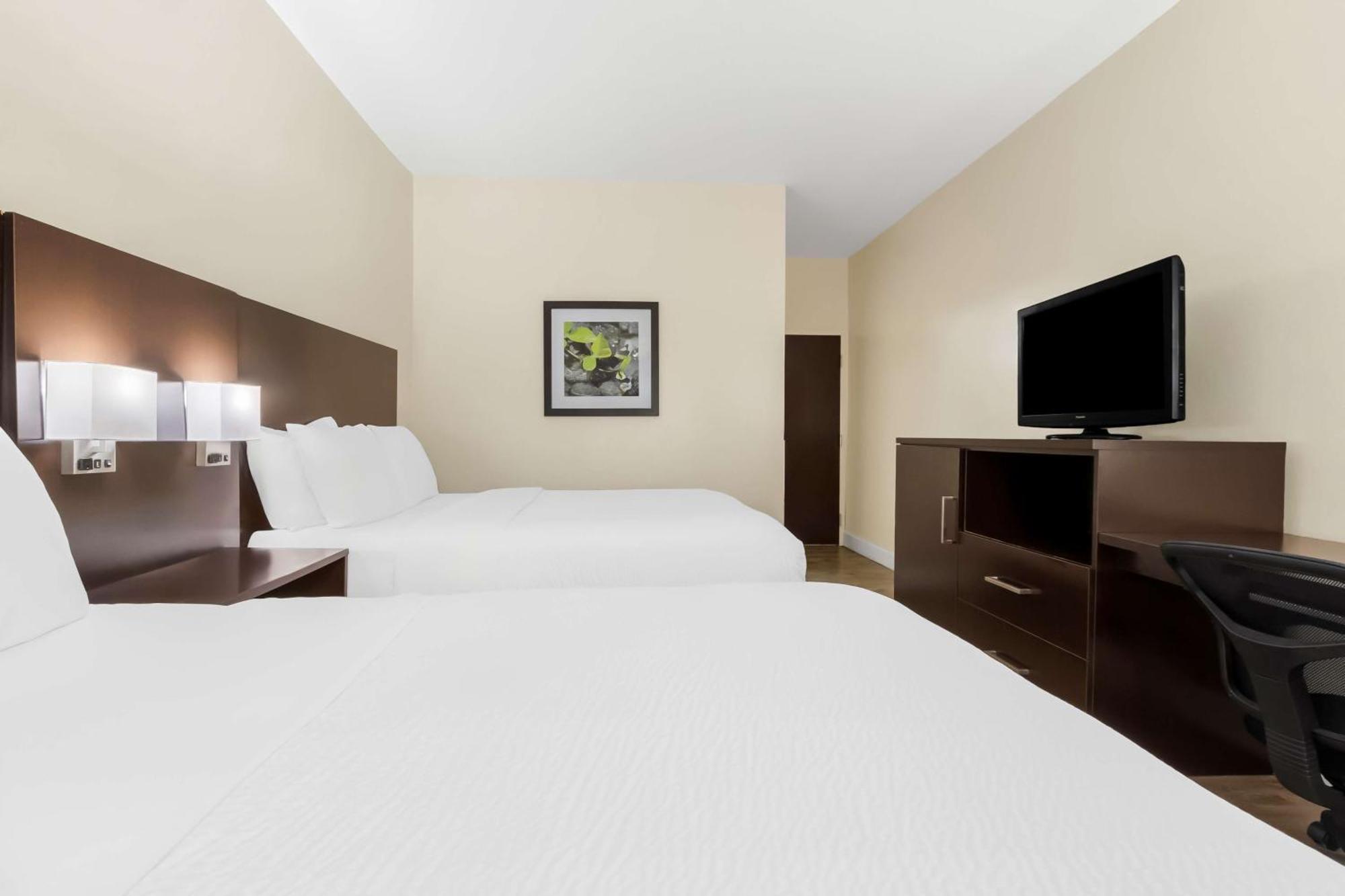 Suite Two Double Beds Disability Access
