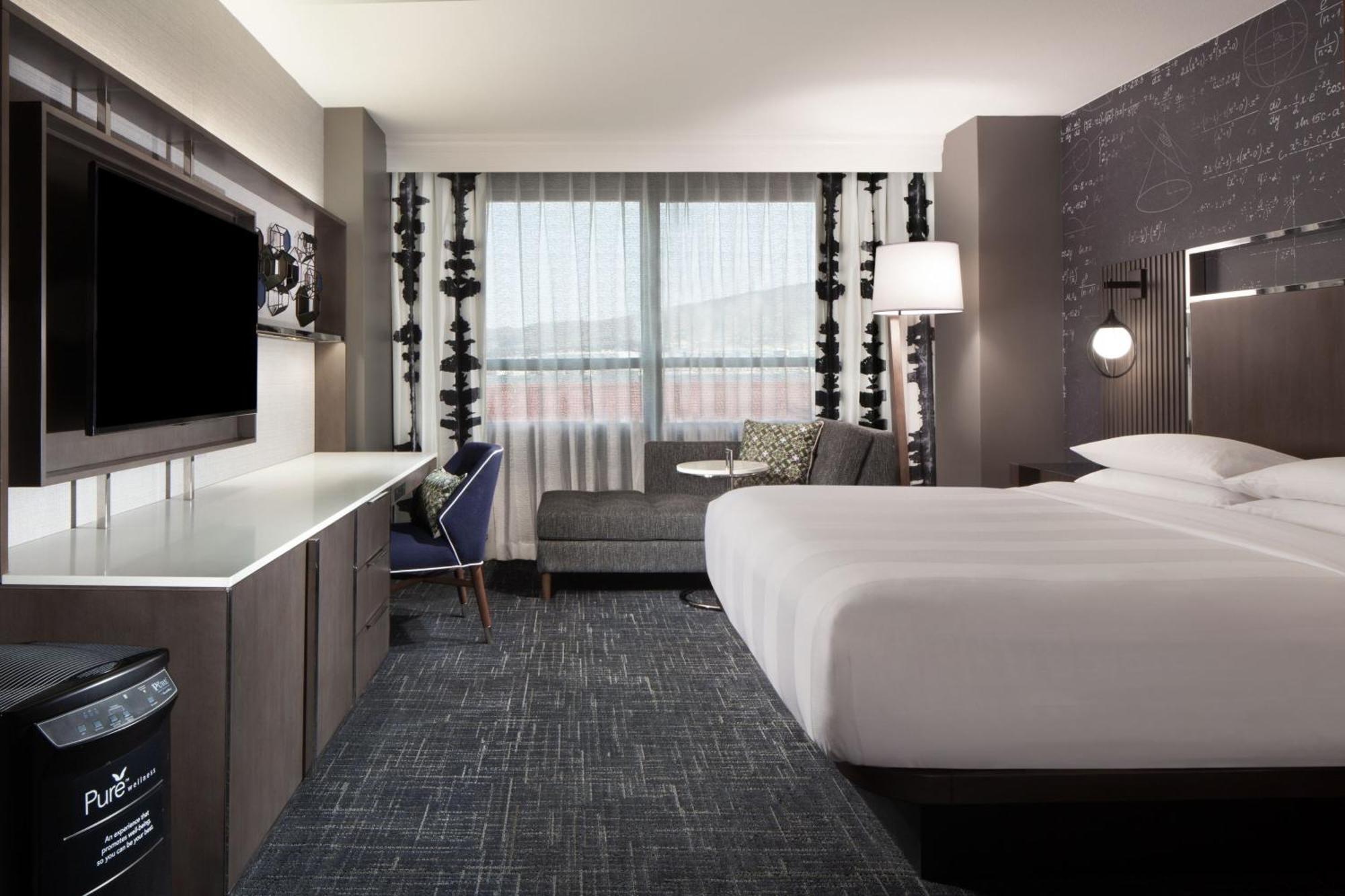 King Room Allergy Friendly