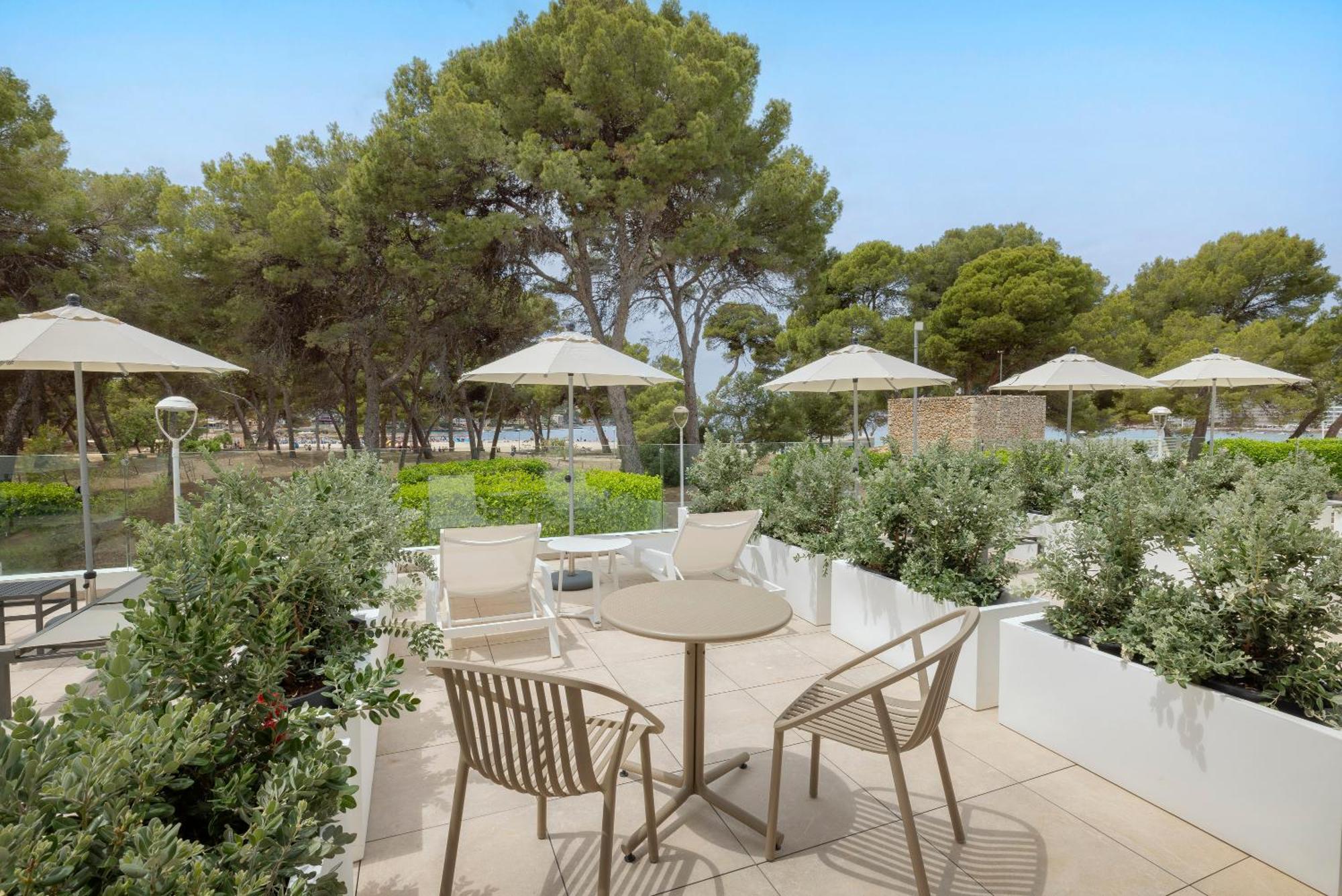 Superior Sea View Terrace