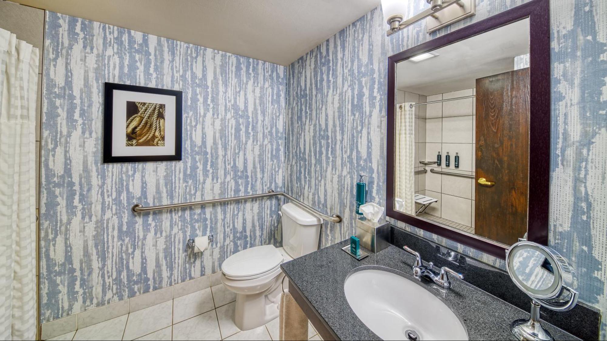 King Room Roll Shower Mobility Hearing Accessible or Non-Smoking