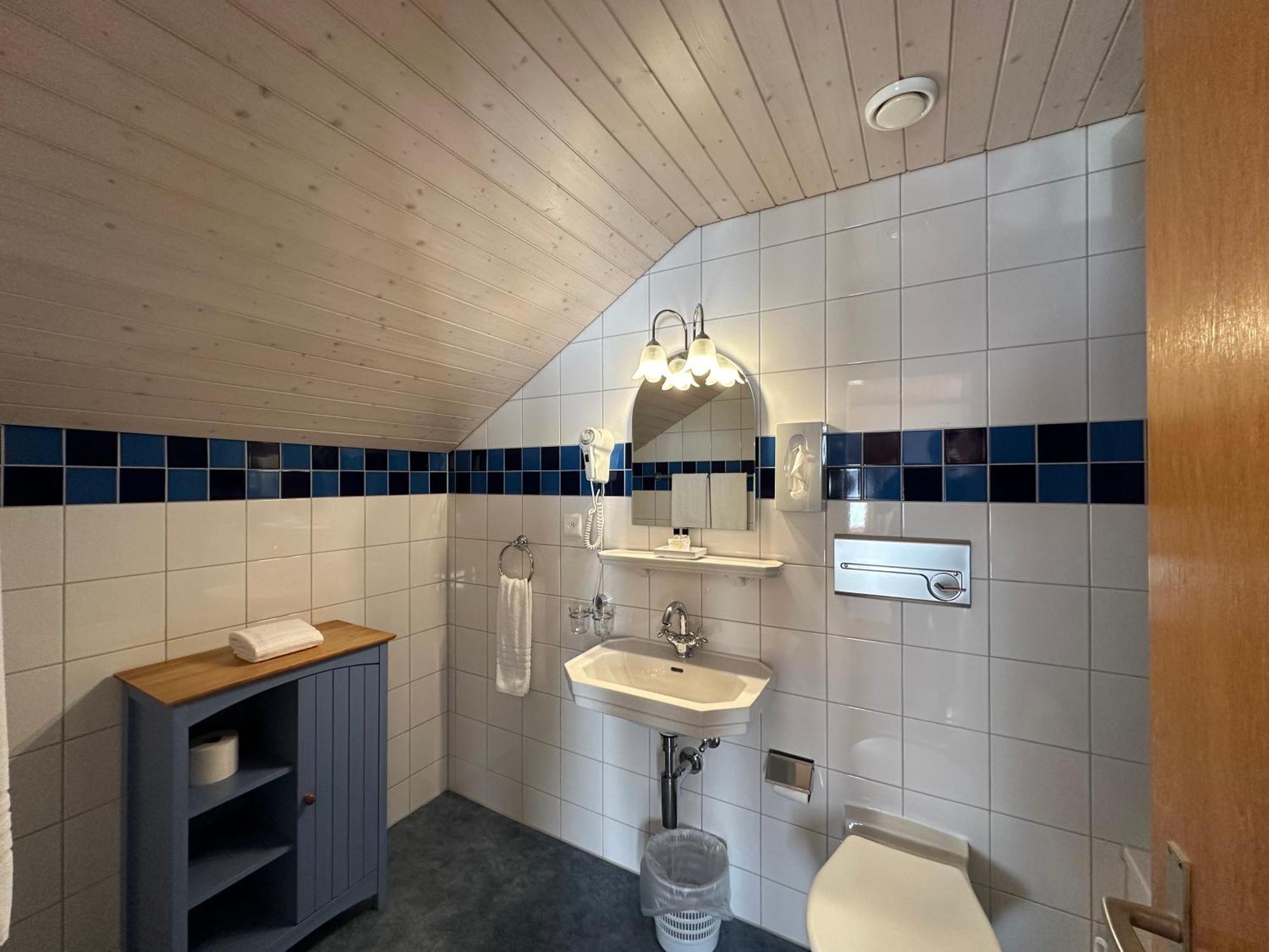Superior Double or Twin Room Mountain View