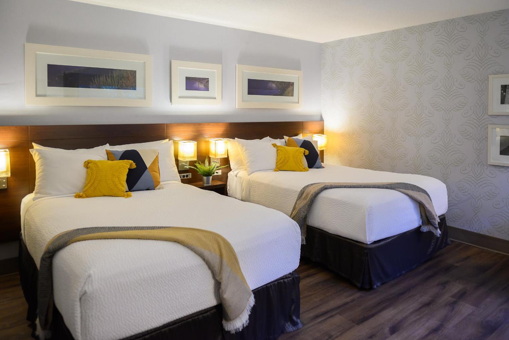Double Room Two Double Beds