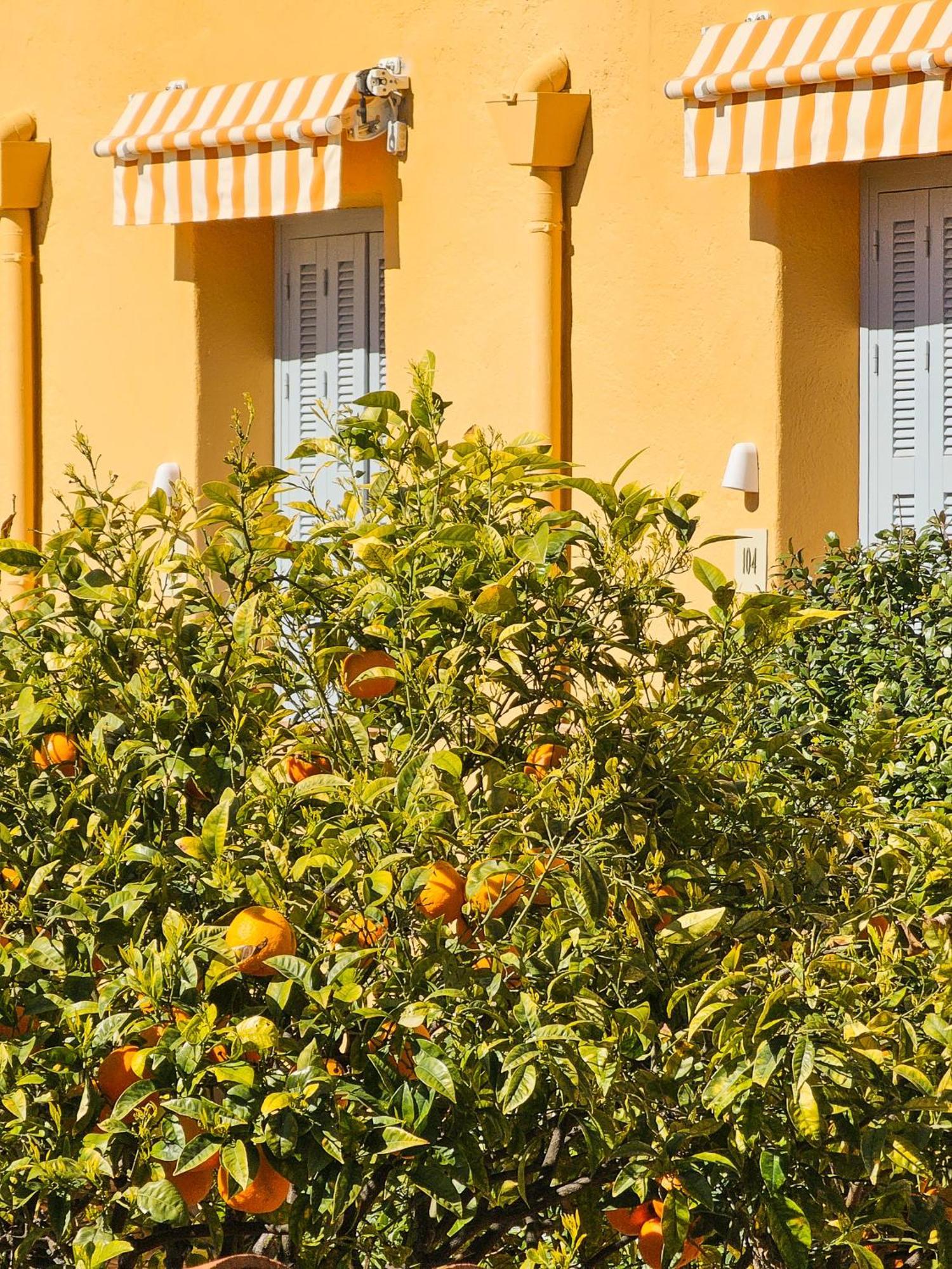 Superior Double Room garden view or courtyard view