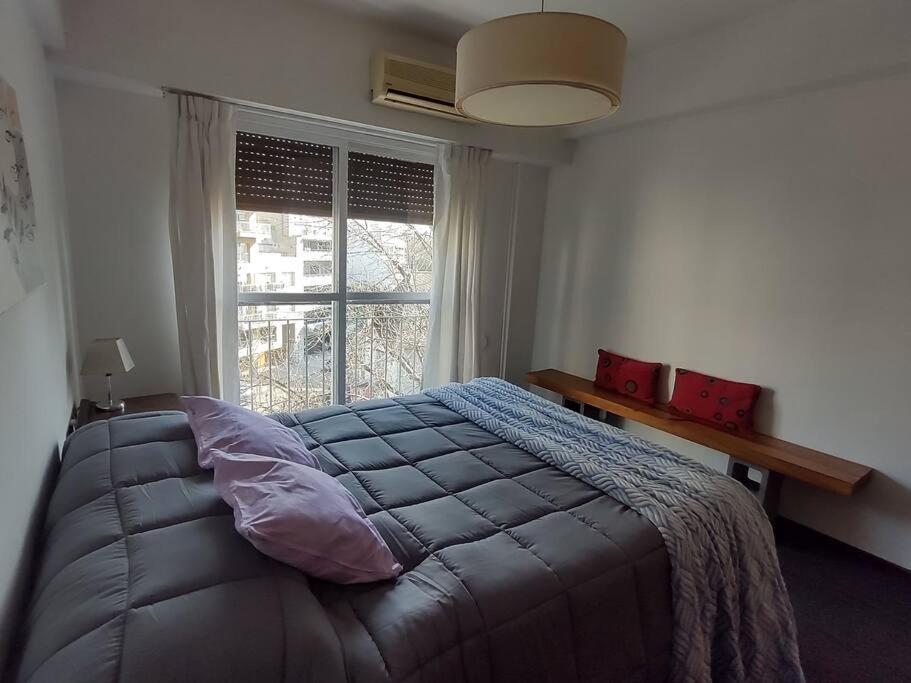 Superior Room Two Double Beds View