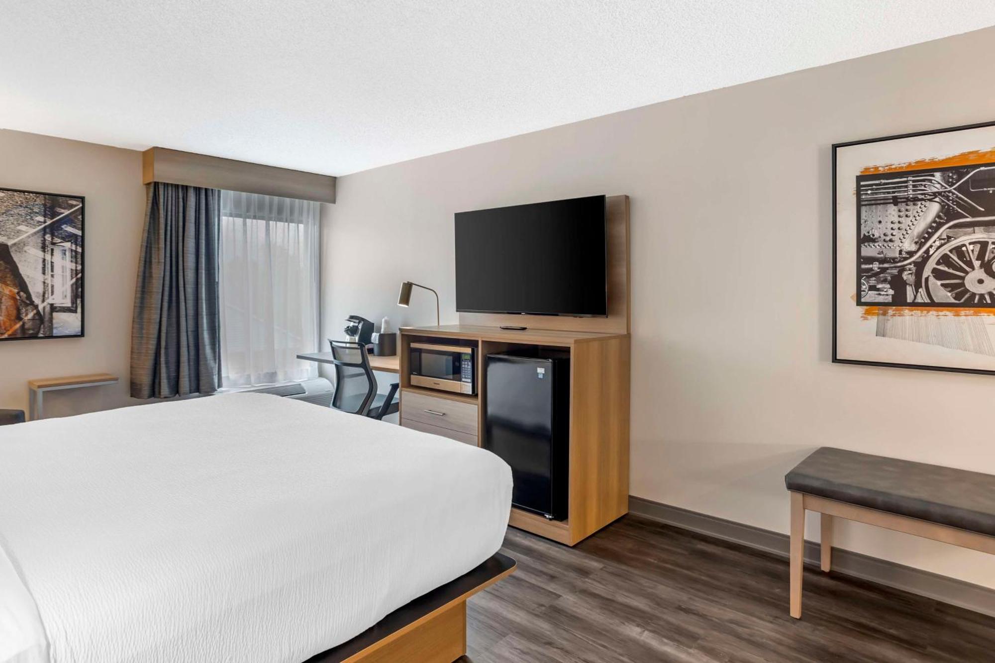 King Room Disability Access