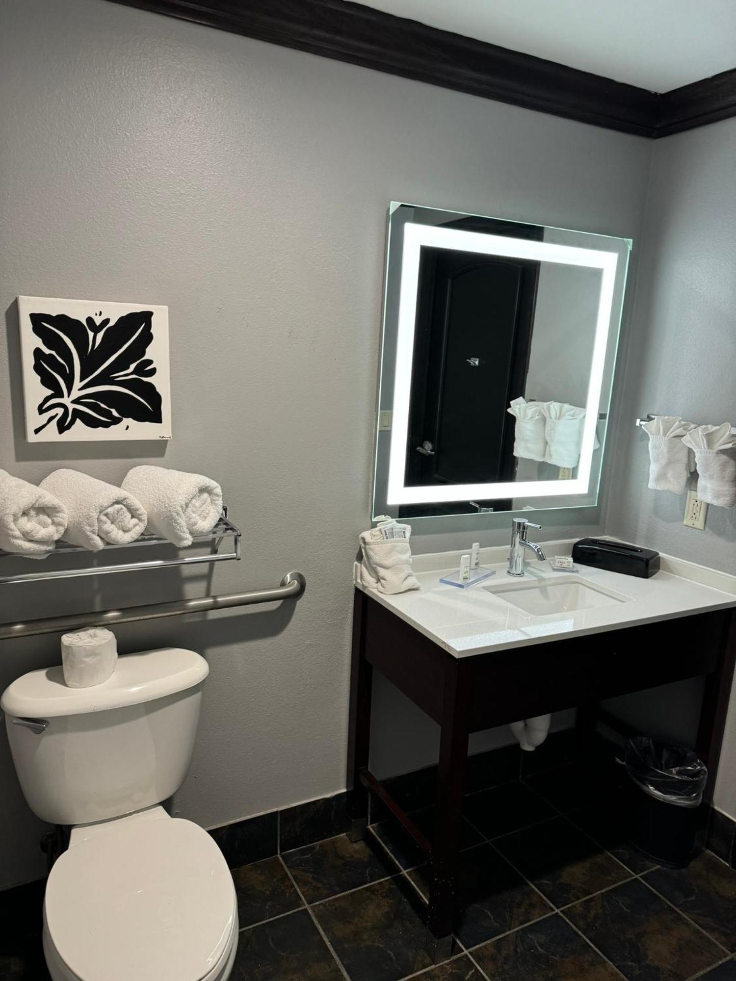 King Room Bath Tub Mobility or Hearing Accessible Non-Smoking
