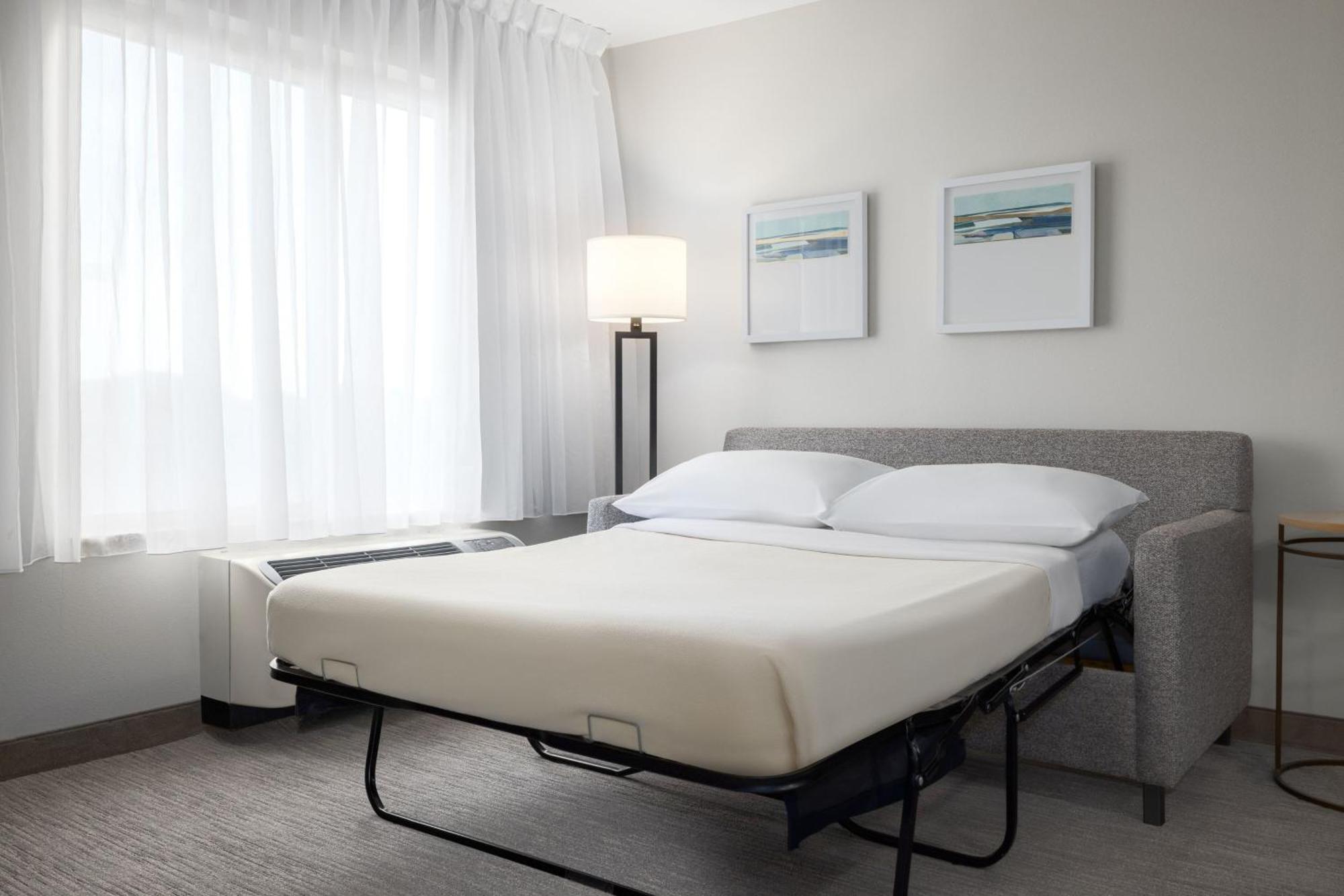 Queen Studio Sofa Bed