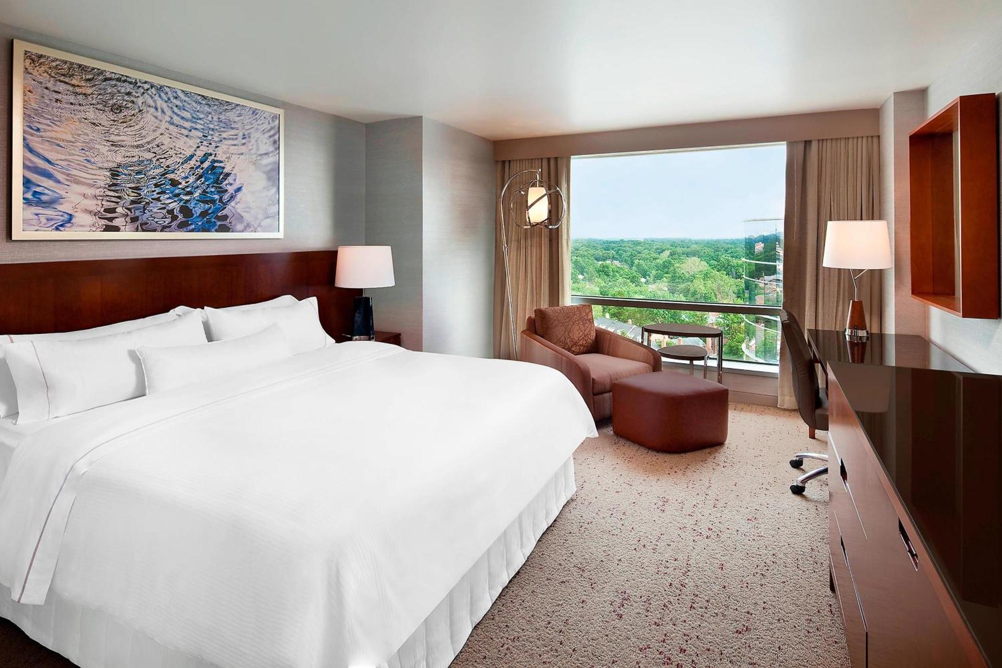 Guest room 1 King City view