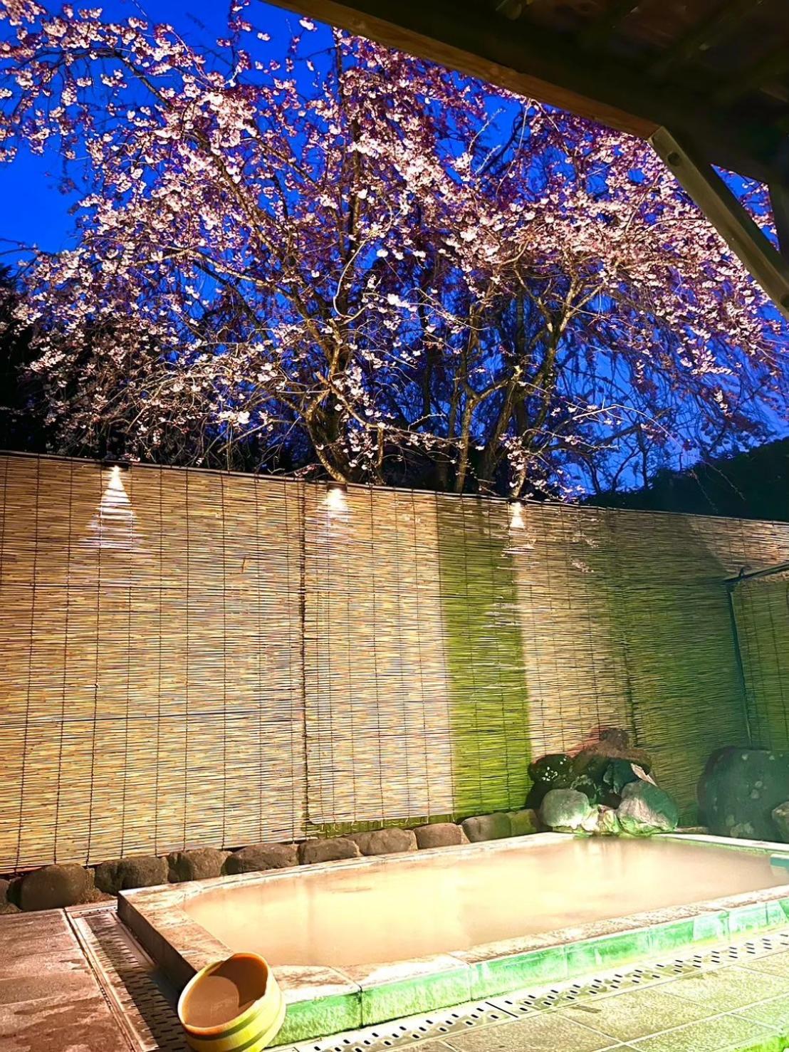 Japanese-Style Standard Twin Room