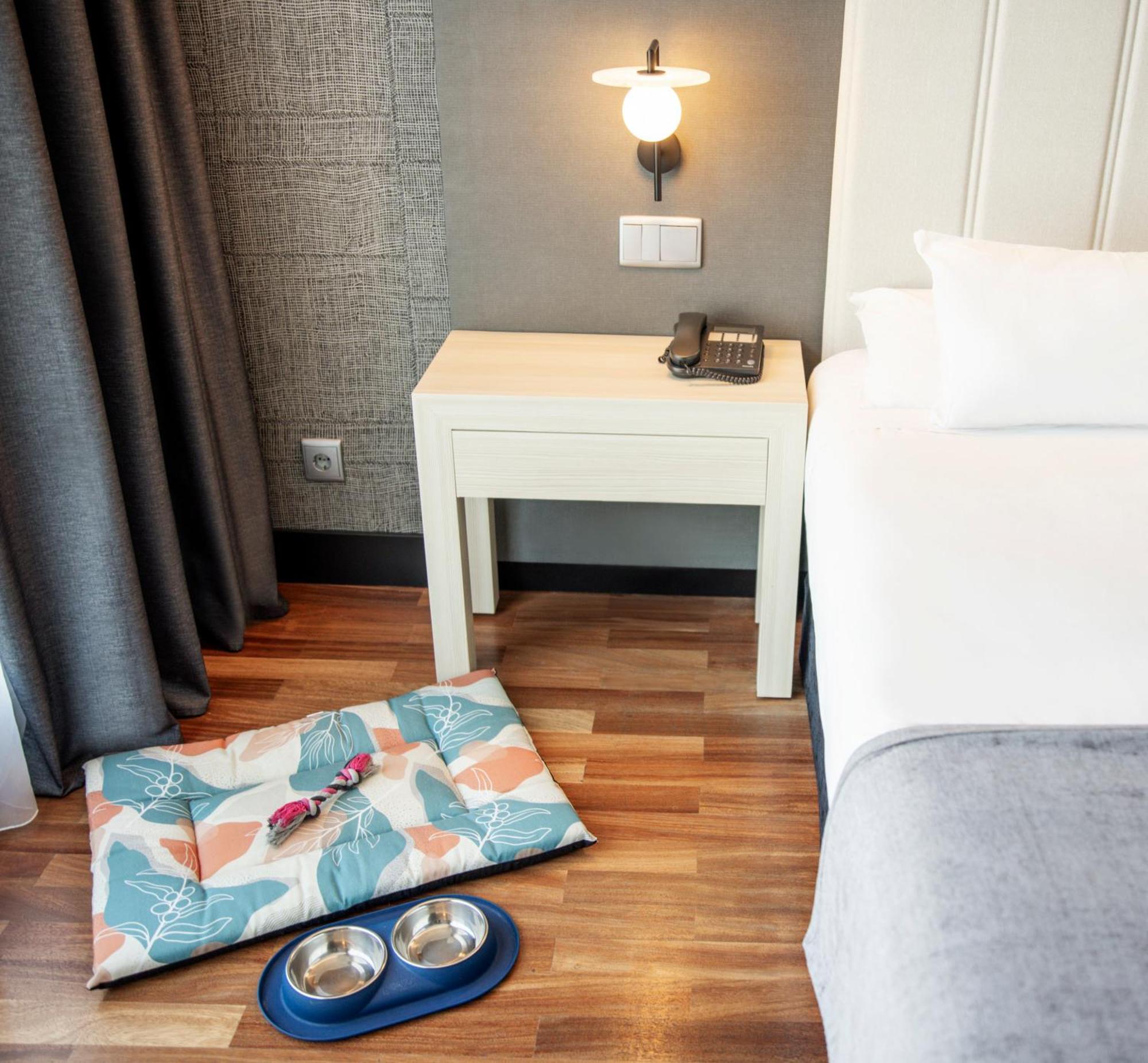 Standard Double Room Pet Friendly