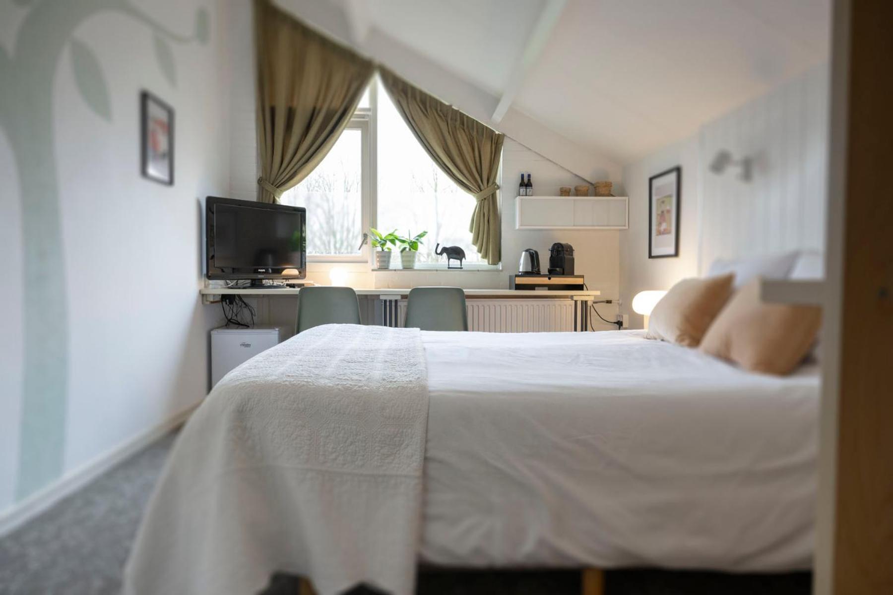 Deluxe Queen Room
