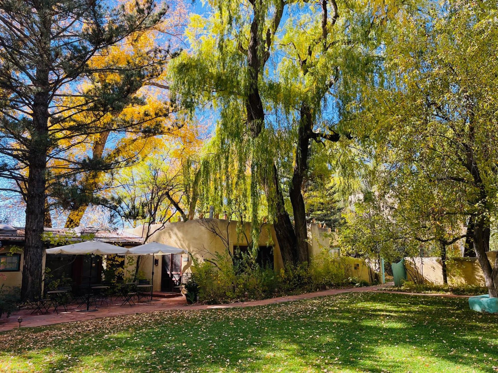 King Room,1667433878:JPEG