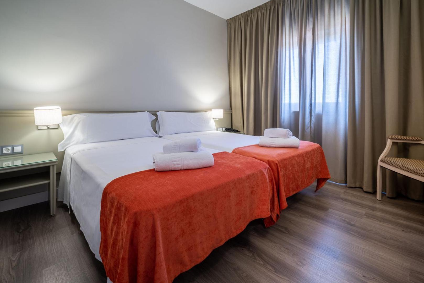 Basic Twin Room