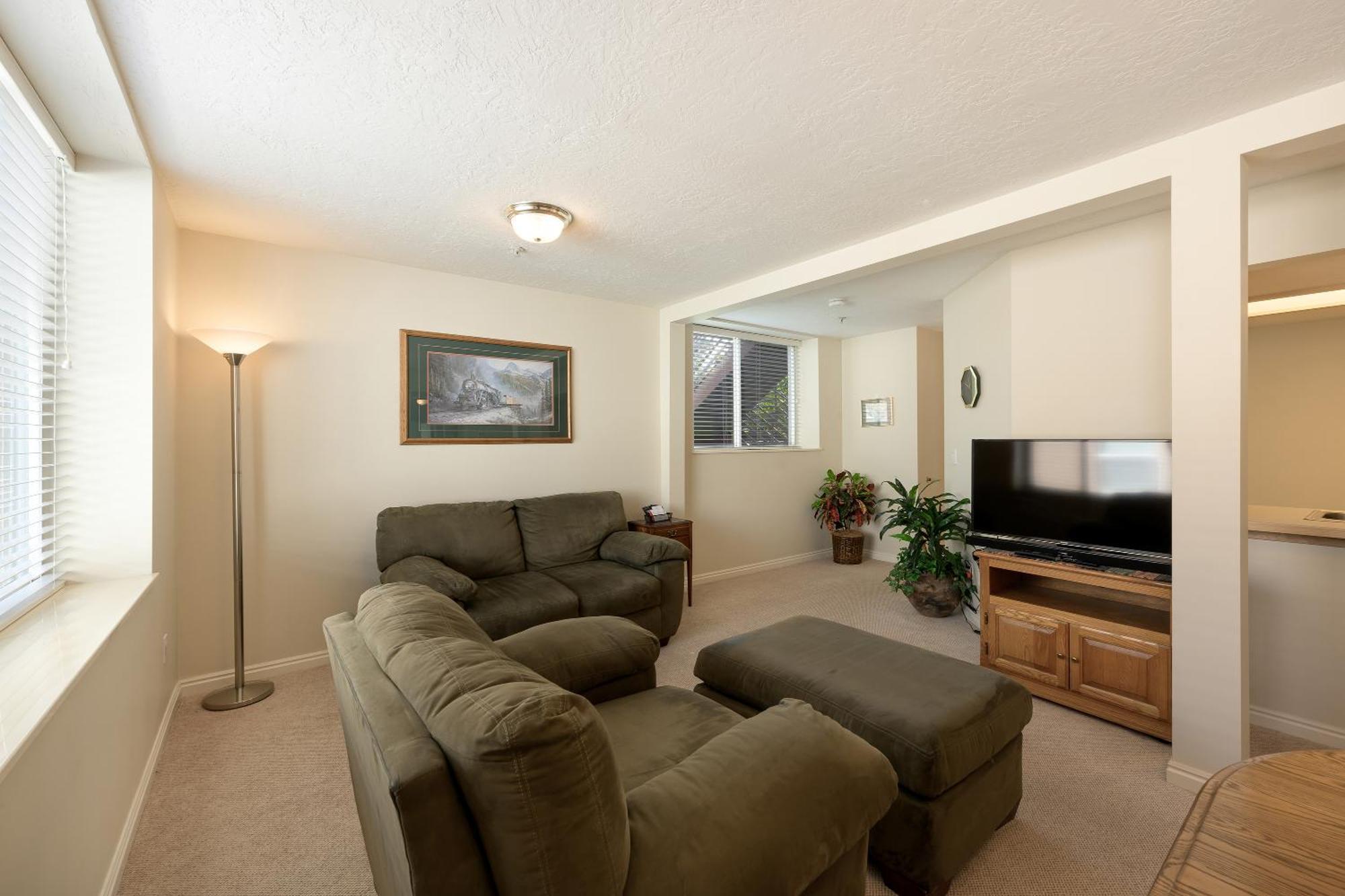 Deluxe One-Bedroom Apartment