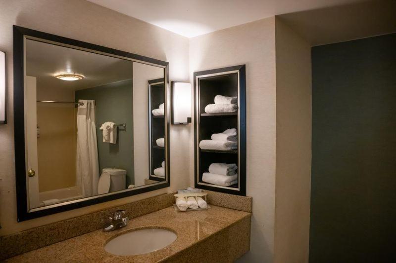King Suite Bathtub w or Grab Bars Mobility Access or Non-Smoking