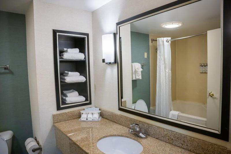 King Suite Bathtub w or Grab Bars Mobility Access or Non-Smoking