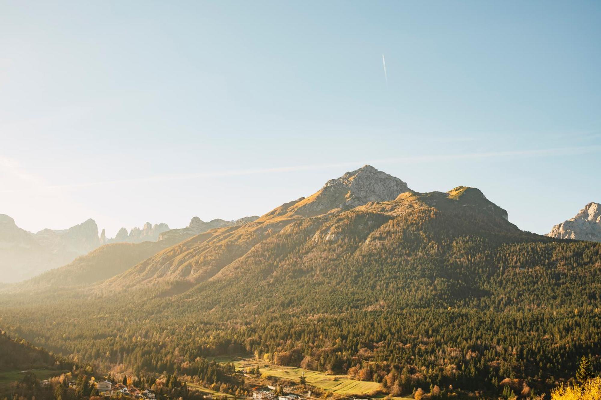 Double or Twin Room Mountain View