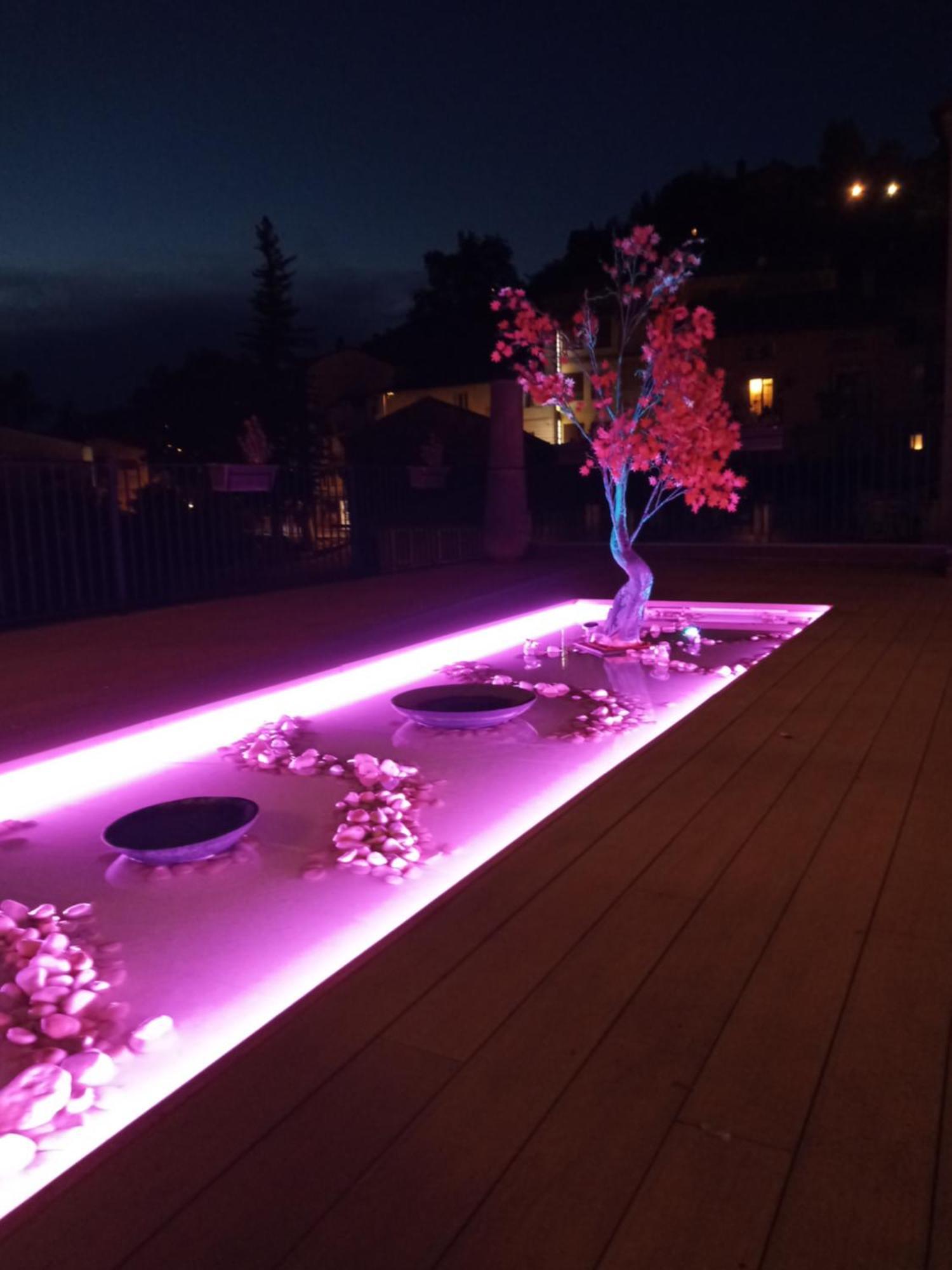 Twin Room Terrace