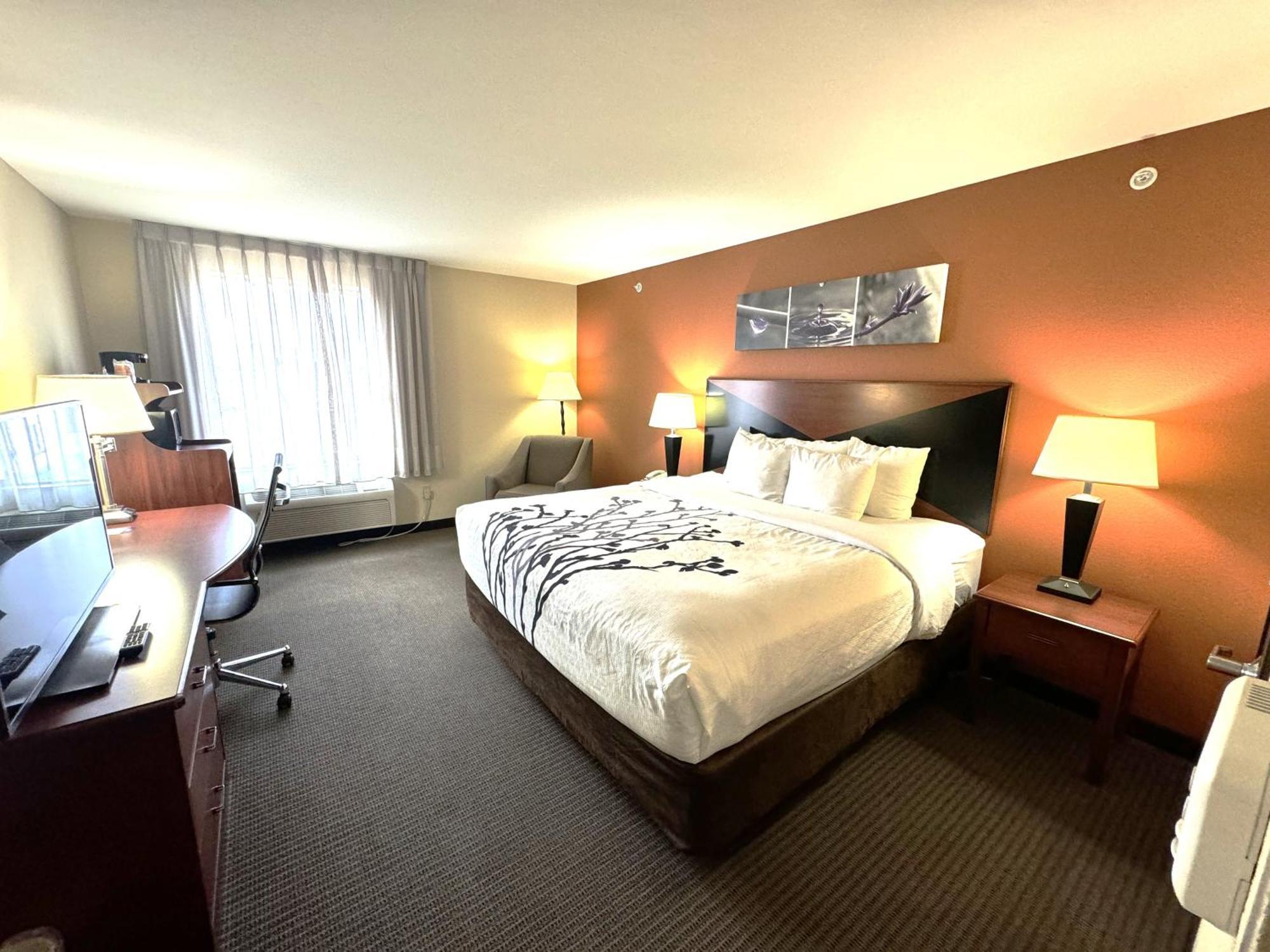 King Room Accessible or Non-Smoking