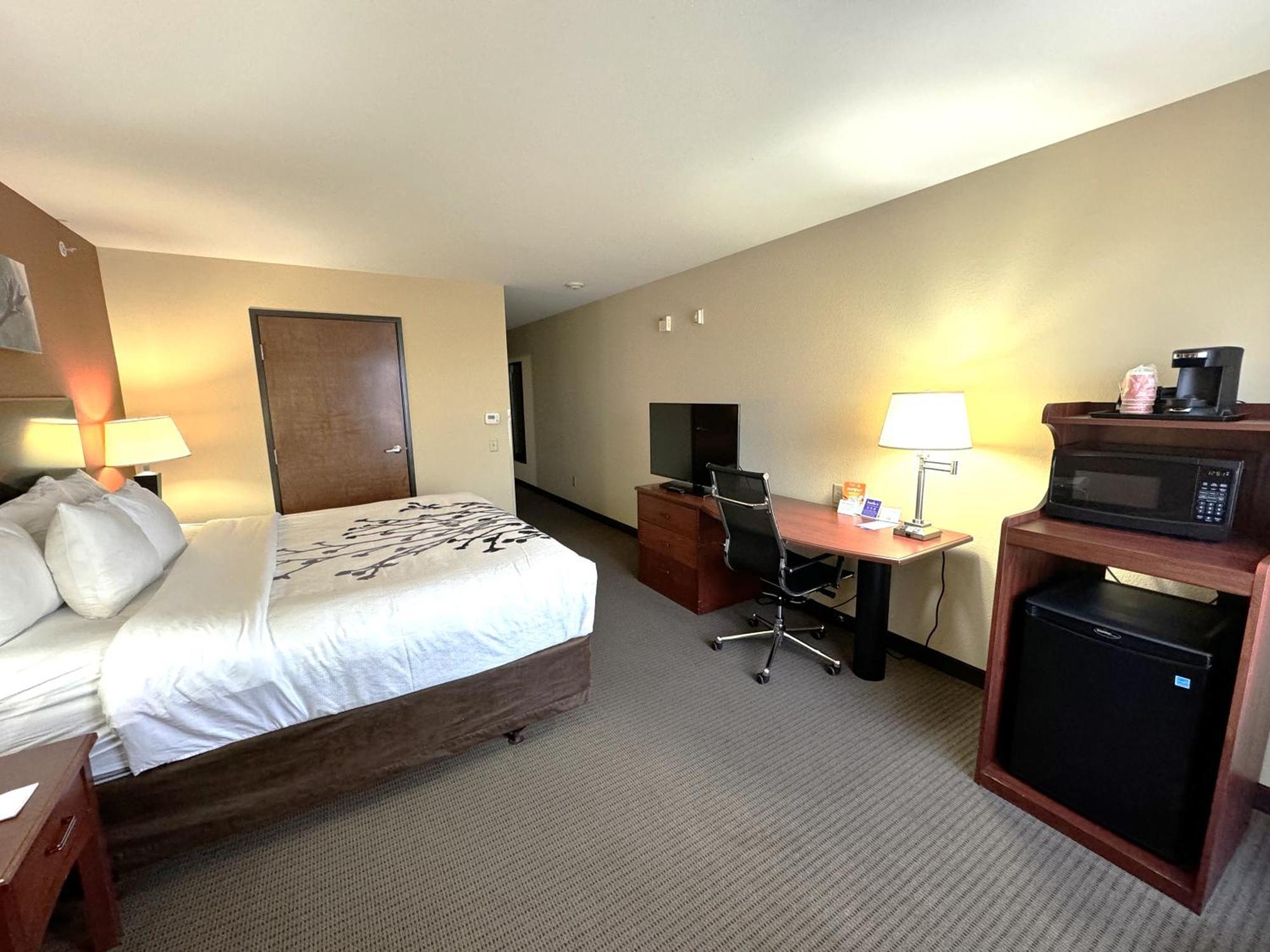 King Room Accessible or Non-Smoking