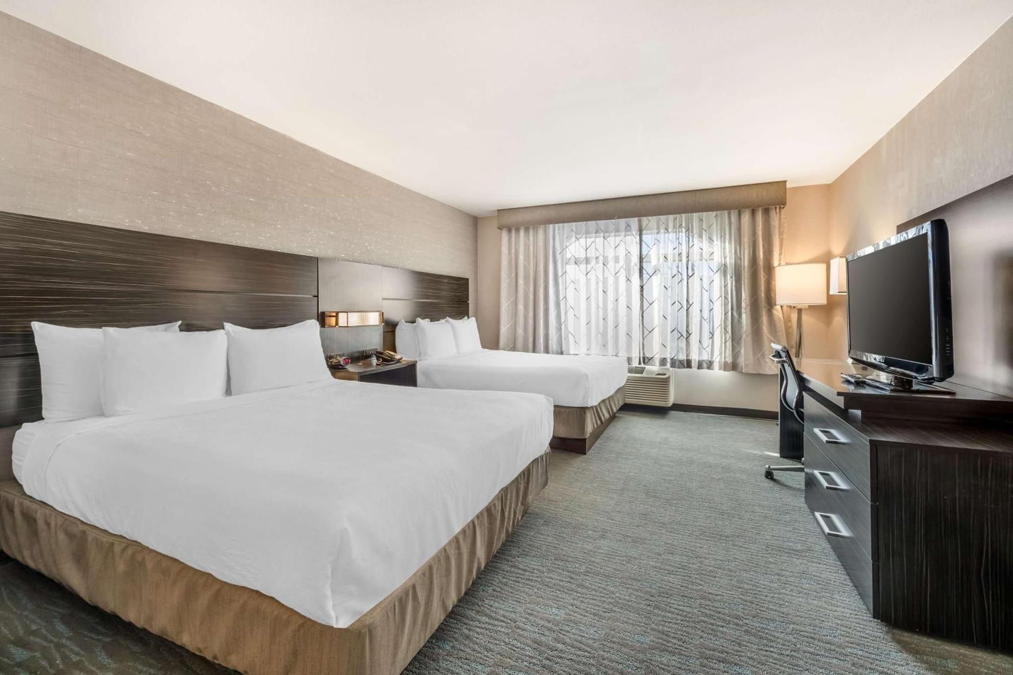 Queen Suite two Queen Beds One Sofa Bed Non-Smoking