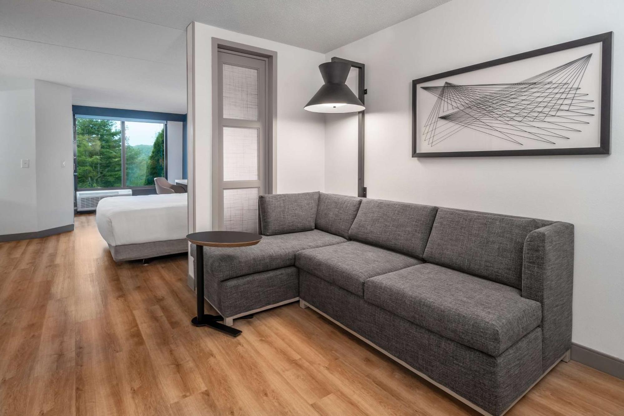 King Room Sofa Bed