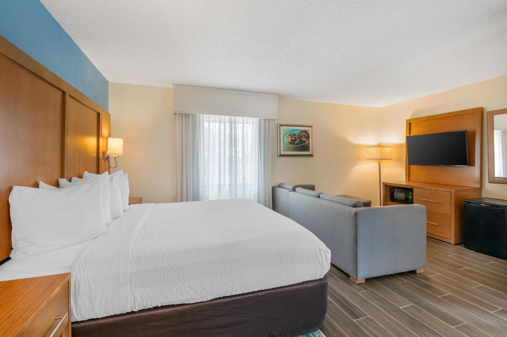 King Room Partial Ocean View