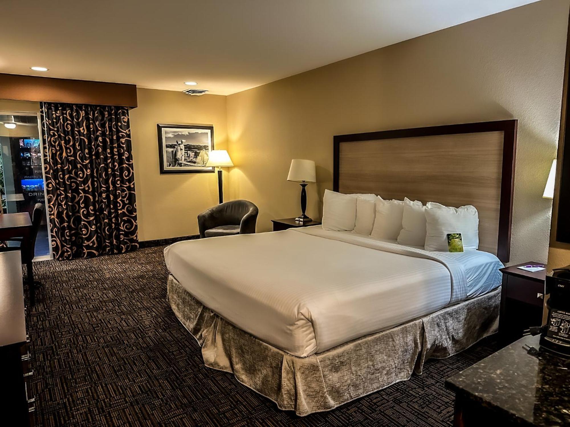 King Room Pool View