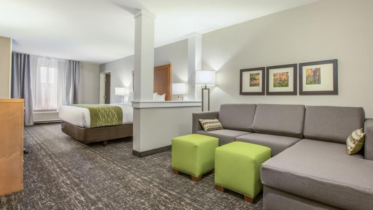 King Suite Sofa Bed Non-Smoking