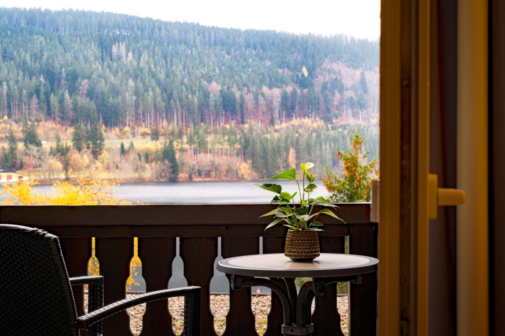Classic Double Room Lake View Balcony