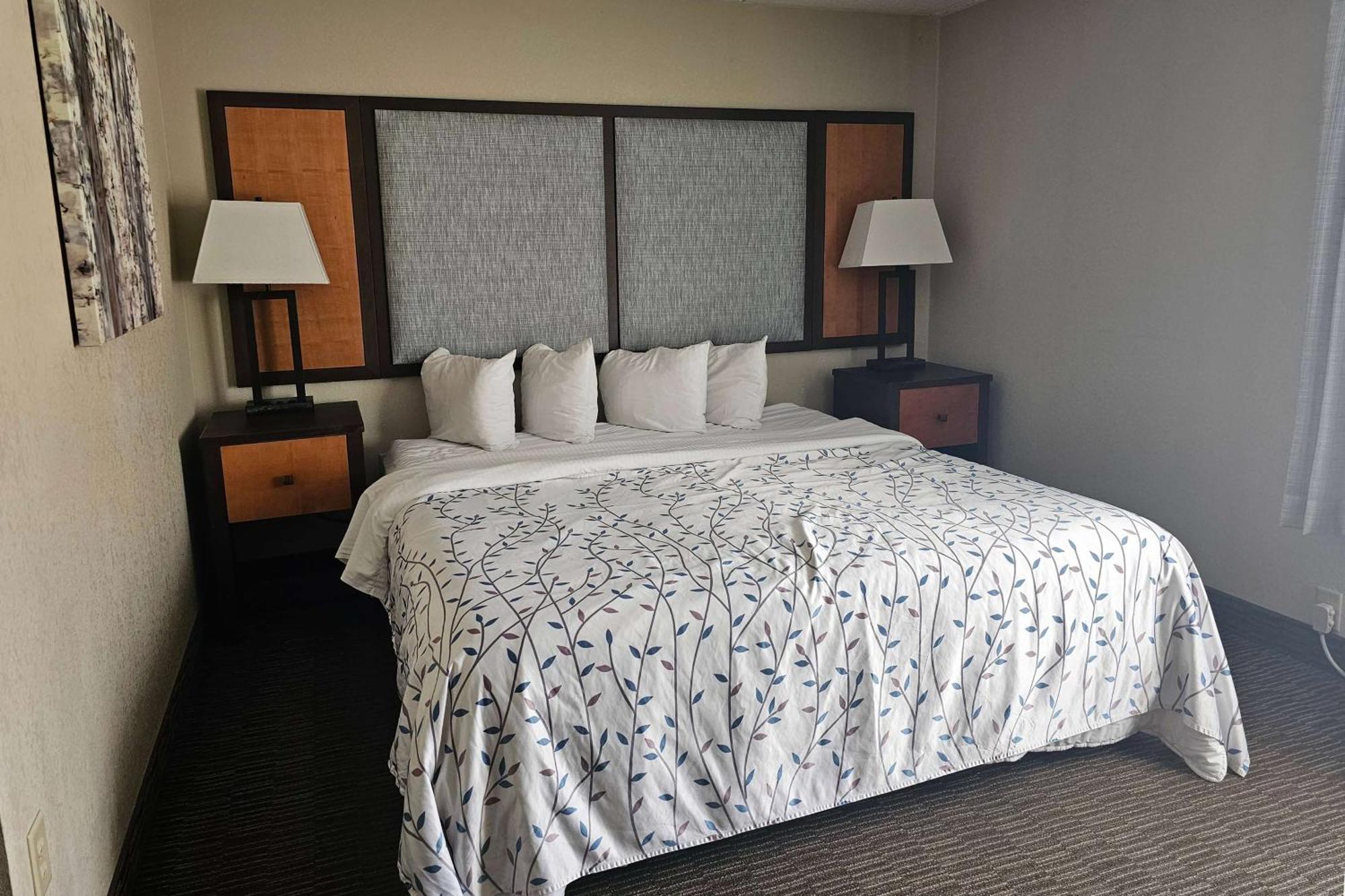 King Room Roll Shower Mobility Access or Non-Smoking