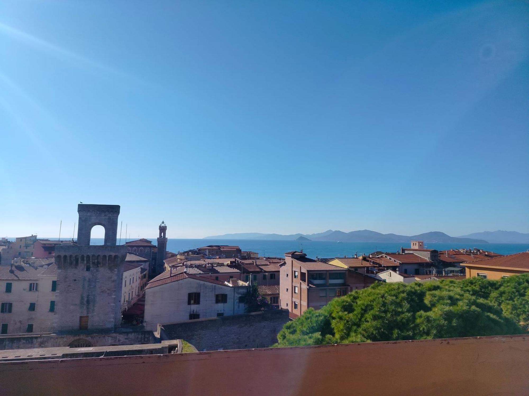 Suite Terrace