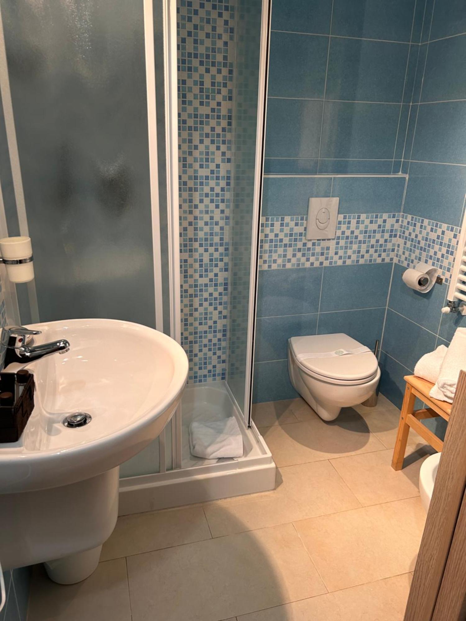 Deluxe Double Room Shower